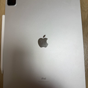 아이패드 프로 5세대 256gb 애플펜슬2세대 12.9인치