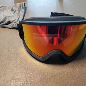 드래곤 고글 DX3 L