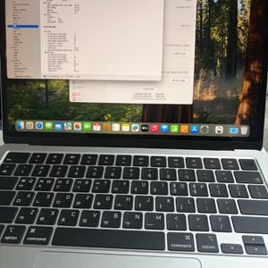 맥북 에어 M4 13인치 16gb/256GB 2사이클