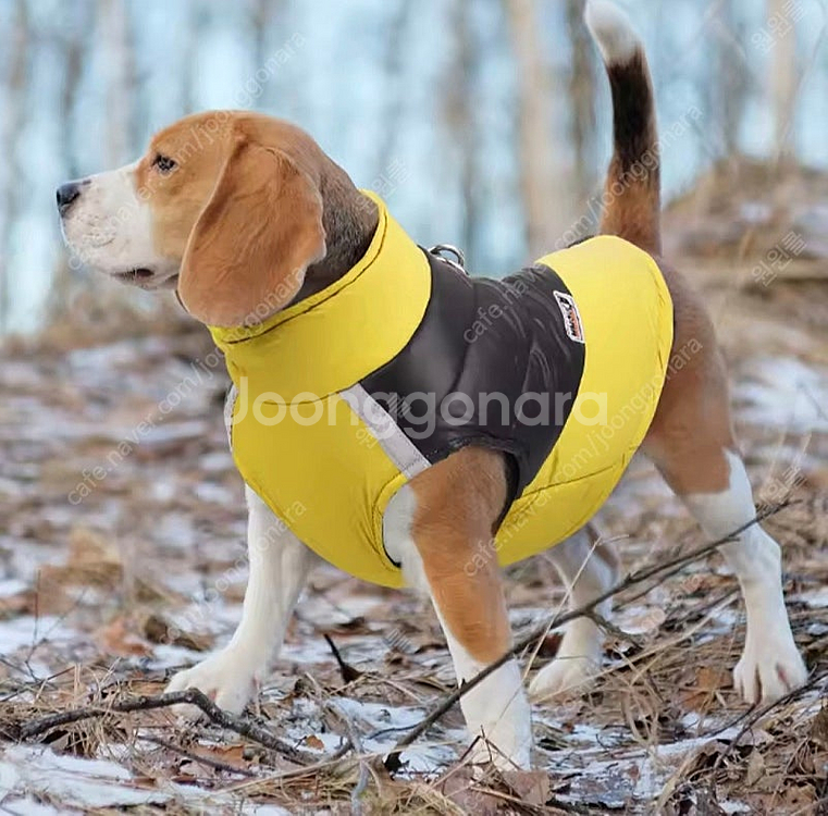 4XL- 5XL (15 - 27kg)중대형견옷 패딩--1