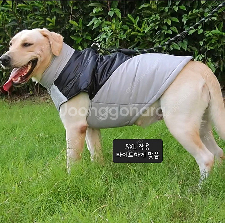 4XL- 5XL (15 - 27kg)중대형견옷 패딩--2