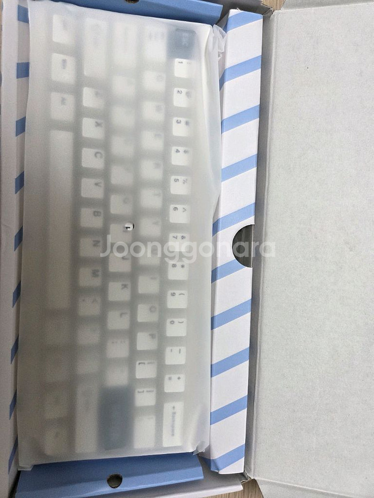 qk61 v2 화이트 키보드--0