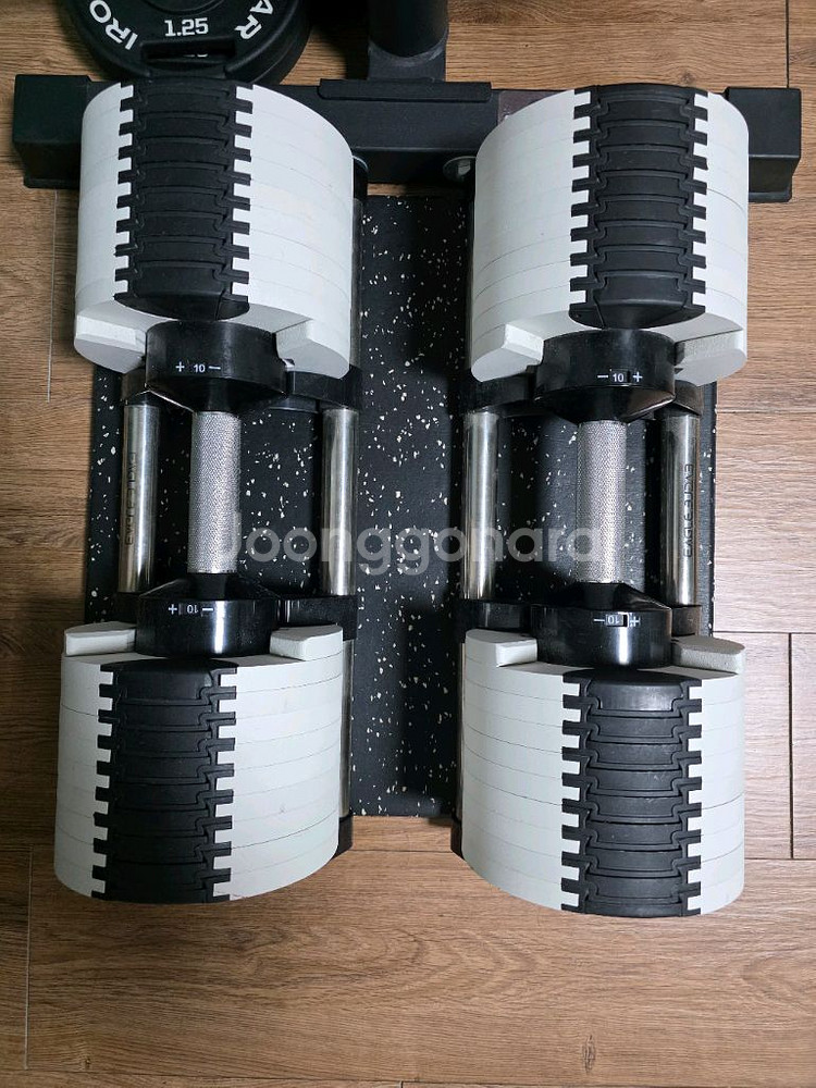 누오덤벨36kg 처분--0