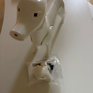 펫토스 애견미용 연습용 견체 모형