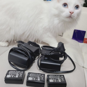 Rx1r3 소니 정품 FW50 배터리 + 충전기 A6400 NP