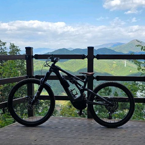 2025 스페셜라이즈드 터보리보 카본 M(S3)사이즈