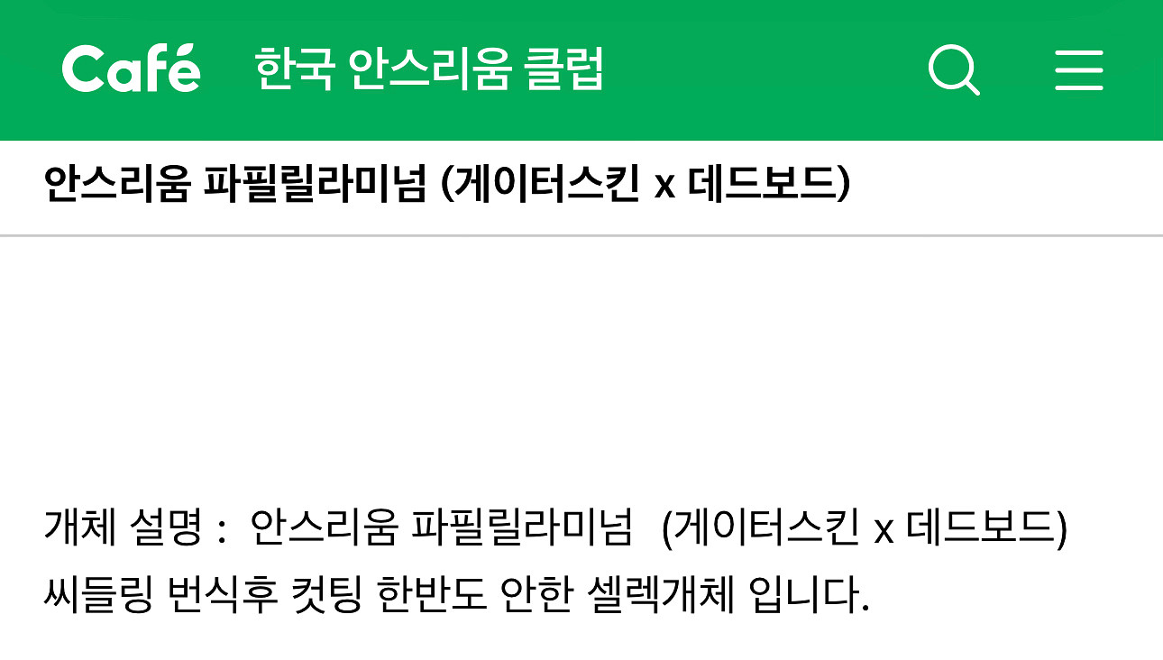 안스리움 게이터스킨 x 데드보드 바텀--8