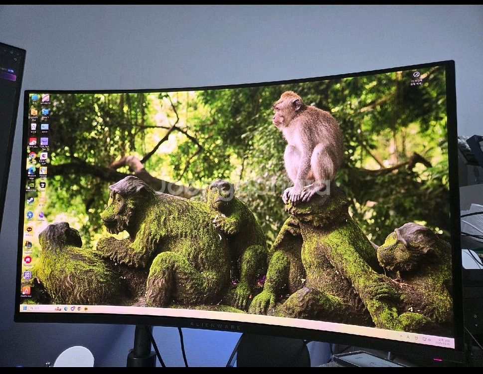 Alienware 32인치 4K 모니터 aw3225qe--0