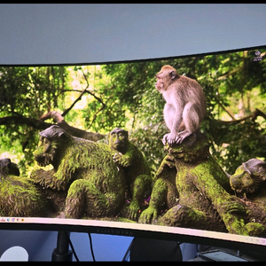 Alienware 32인치 4K 모니터 aw3225qe