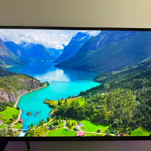 LG 32GQ-950 팝니다