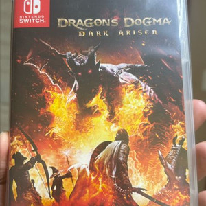 닌텐도스위치 드래곤즈도그마 다크어라이즌