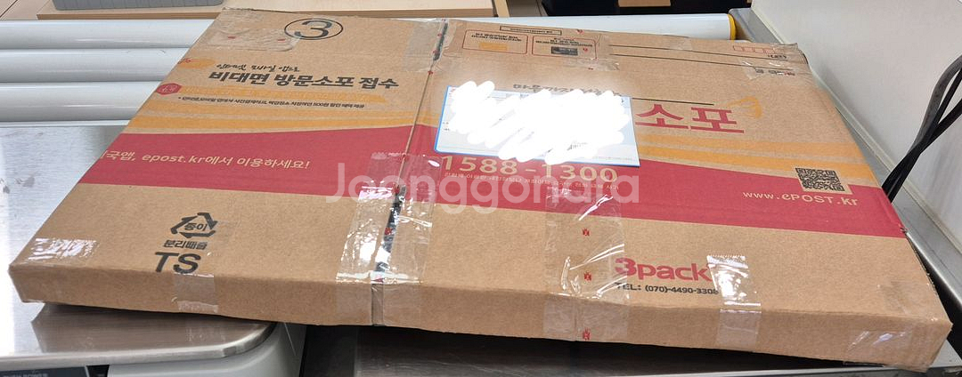 체인소맨 레제 A3 해변 포스터--3