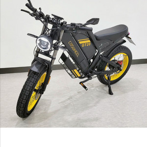 코스휠 gt20 전기자전거