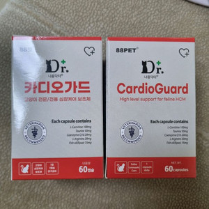 (새제품)카드오가드 고양이 심장보조제 2박스 총 120캡슐
