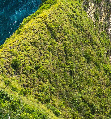 메랜 SSS급 닉네임 팝니다--0