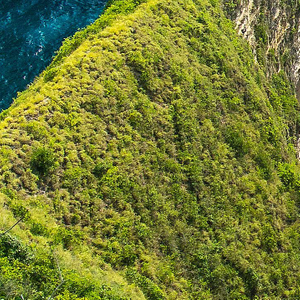 메랜 SSS급 닉네임 팝니다