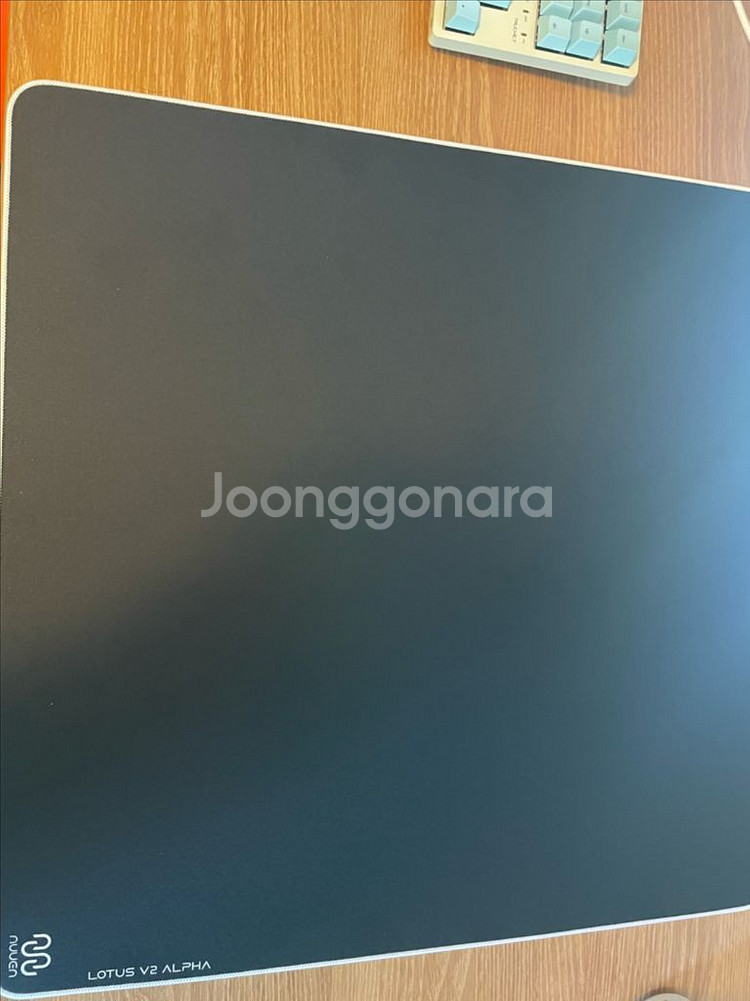 누엔 연꽃 v2 마우스패드--1