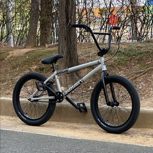 Sunday EX 21 tt 선데이 bmx