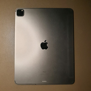 아이패드 프로 4세대 12.9인치 256 셀룰러