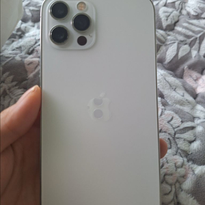 대구 아이폰12프로 128기가