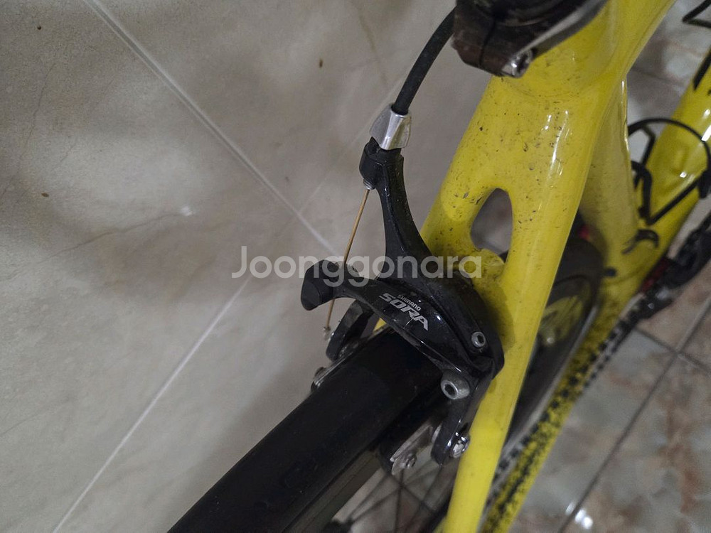 펠트 풀카본 로드 자전거 반차--3