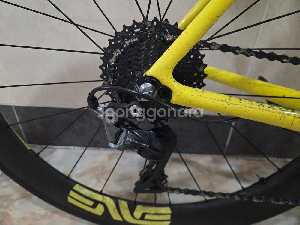 펠트 풀카본 로드 자전거 반차--2