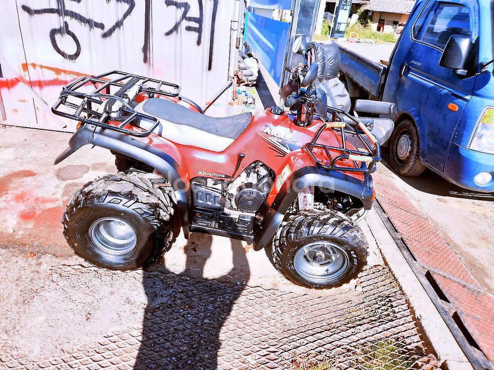 대형 ATV 사륜 오토바이--2