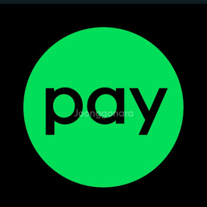 네이버페이 포인트20만 팝니다(80%)