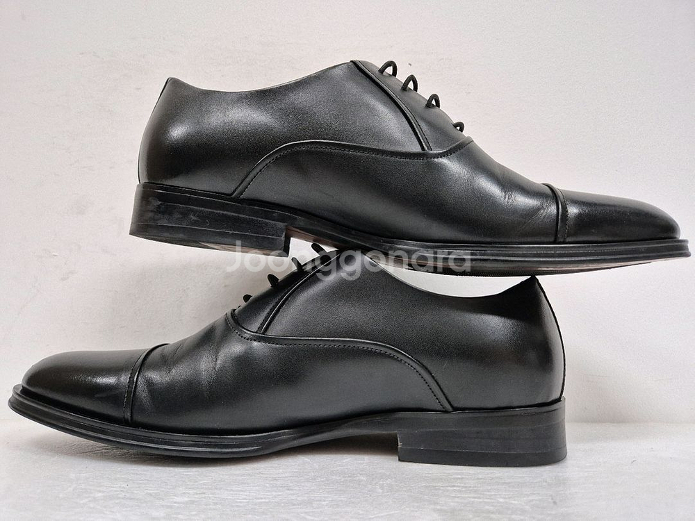 탠디 남성 구두 250--4