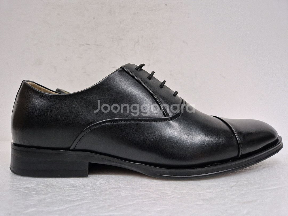 탠디 남성 구두 250--0