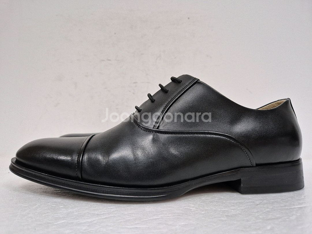 탠디 남성 구두 250--1