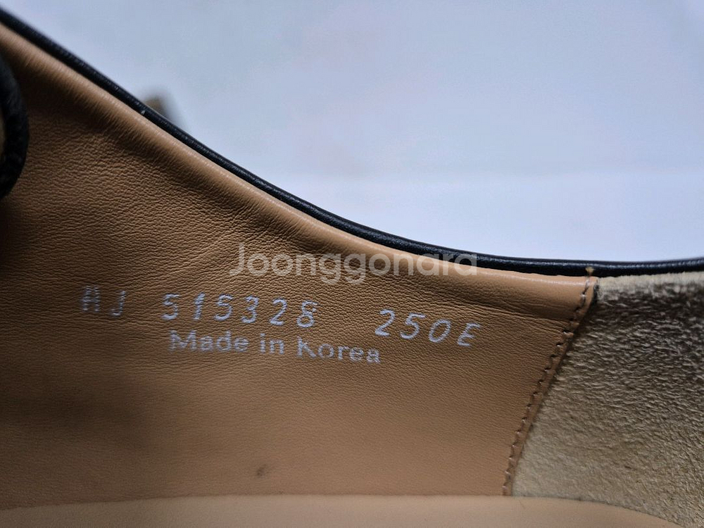 탠디 남성 구두 250--8