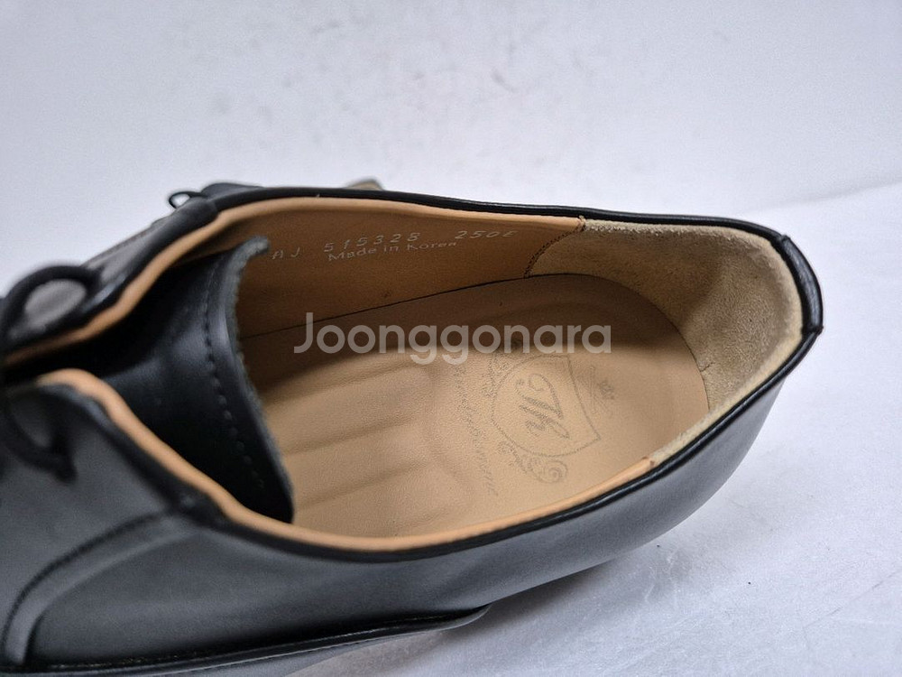 탠디 남성 구두 250--7
