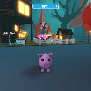 입양하세요 돼지