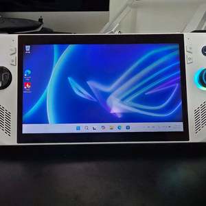 Rog ally 로갈리 (1tb)