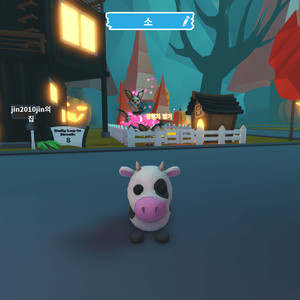 입양하세요 젖소 판매합니다