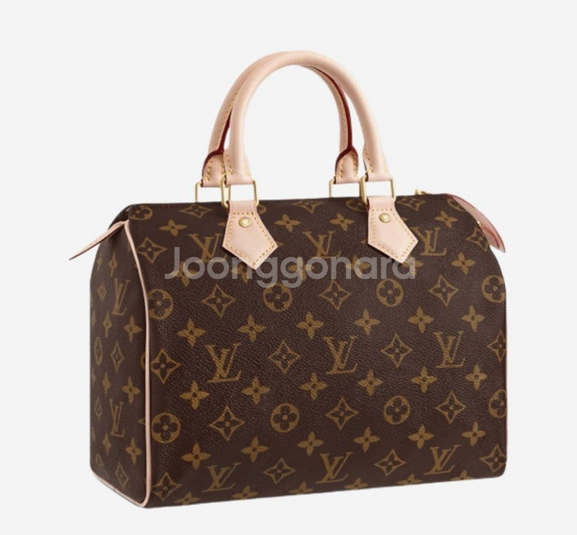 루이비통 스피디 반둘리에 30--0