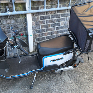 타우러스es 듀얼 60v 30ah