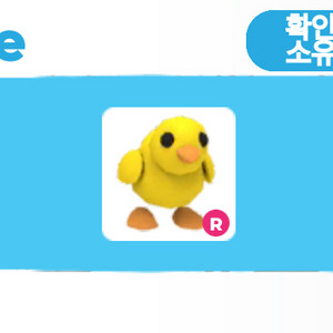 입양하세요 타 병아리