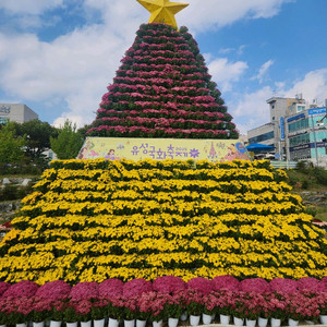 cgv 4d imax screenX sweet box