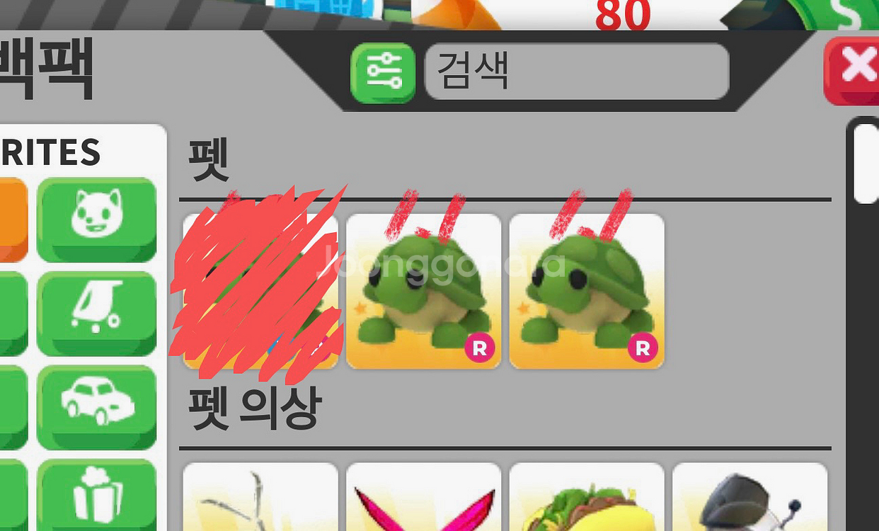 입양하세요 거북이 팝니다--0