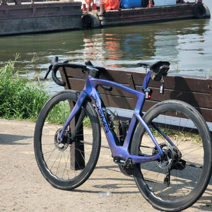 뉴 도그마f 럭스터블루 팜