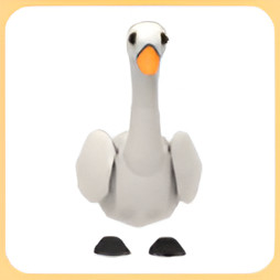 입양하세요 백조