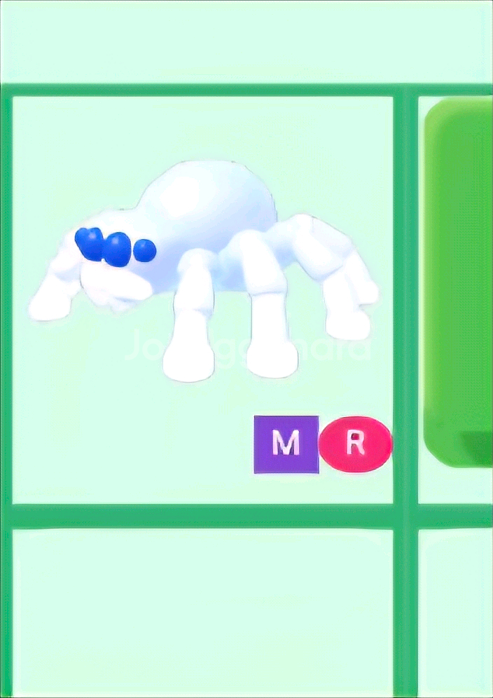 입양하세요 MR 등골 오싹거미--0