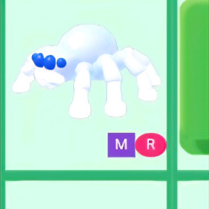 입양하세요 MR 등골 오싹거미