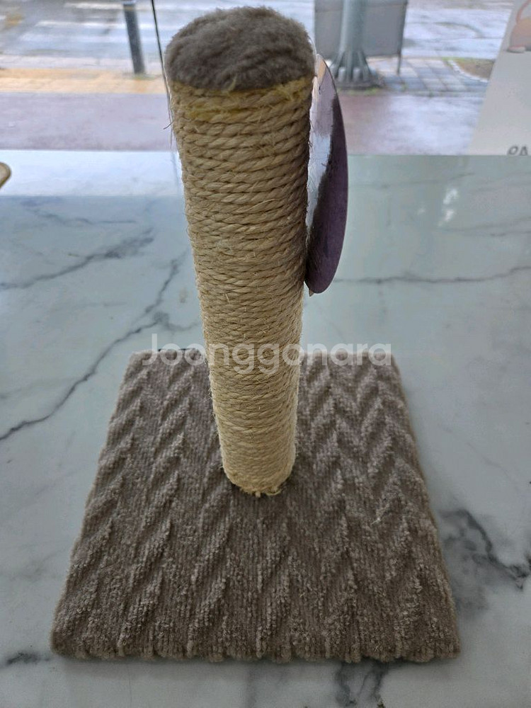 고양이 스크레처--0