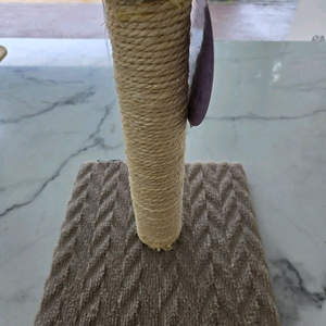 고양이 스크레처