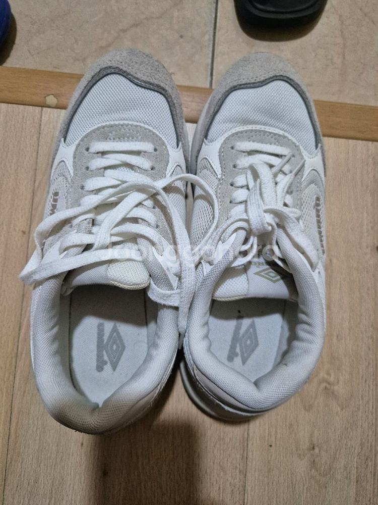 엄브로 여성 운동화 250--0