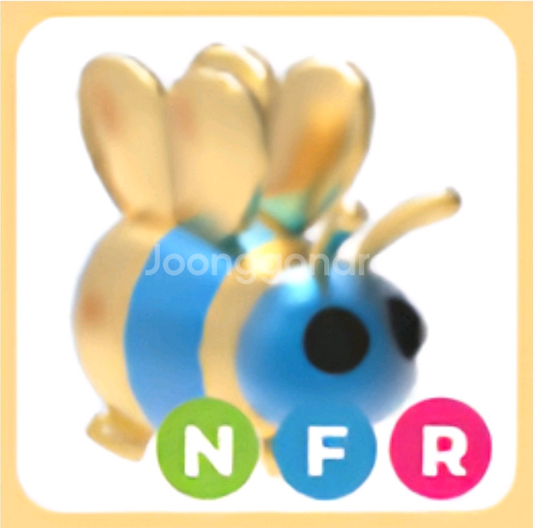 입양하세요 네온 여왕벌--0