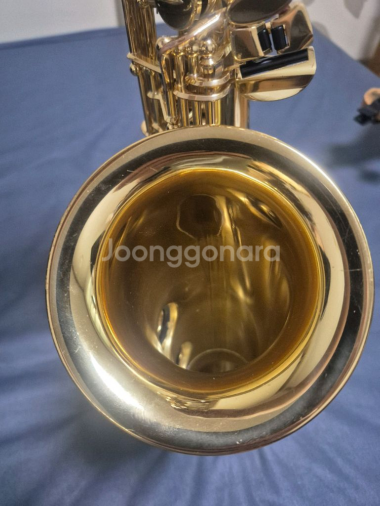 야마하 알토 색소폰 YAS-280--6